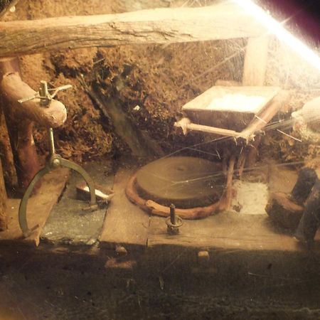El Recreo De San Martin Sl Pensionat San Martín de Castañeda Eksteriør billede